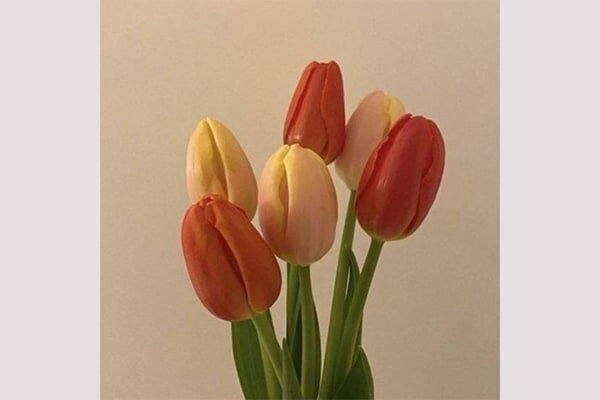 inyアイシェアサロン中目黒店 入居中サロン